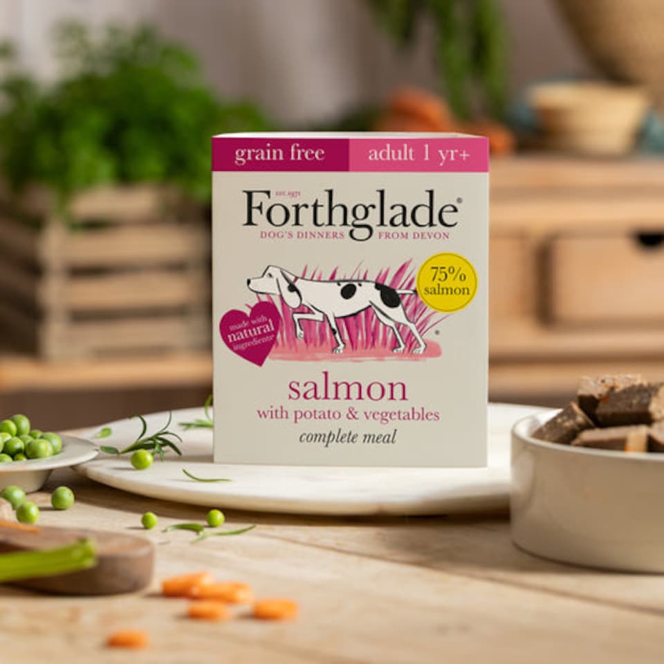 image 1 of Forthglade Grain Free Sardines, Sweet Potato Adult Wet Dog Food - 18 x 395g