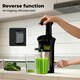 image 6 of Spector Slow Juicer Quiet Cold Press Easy Clean Household Juice Extractor