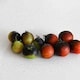 image 4 of Akoya F1 Tomato: Glossy Black Cocktail, Blight Resistant, Bush Variety, Flavoursome - 1 Packet