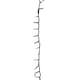 image 1 of 6m 240 LED TreeBrights Multi-Action Christmas String Lights with Timer in Rainbow