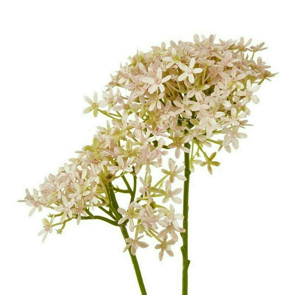 image 1 of Crown Hydrangea (Single Stem Flower) - Plastic - L16 x W18 x H71 cm - Pink
