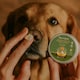 image 7 of Tails of Glory Organic Botanical Dog Balm