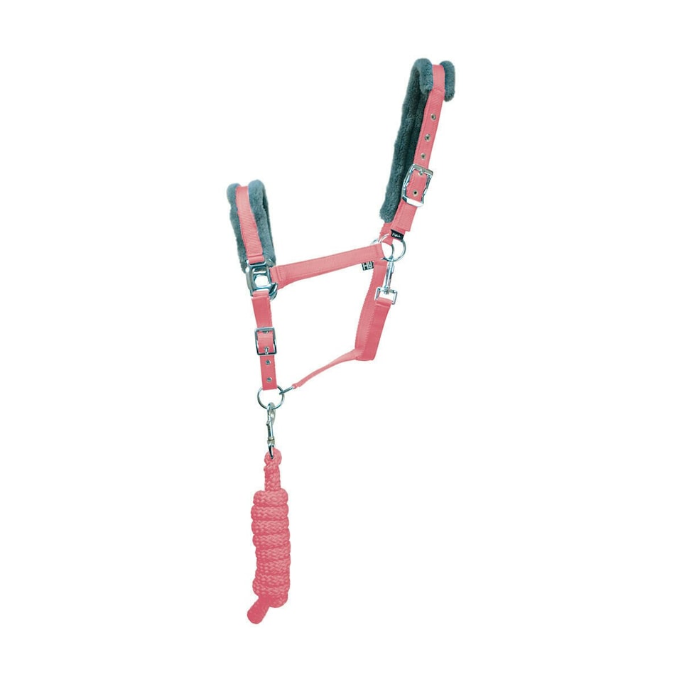 Hy Active Horse Headcollar and Leadrope - Coral Rose - Pony