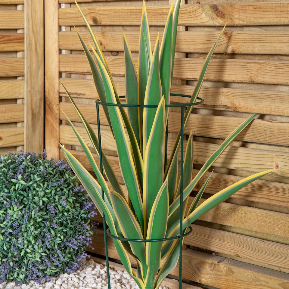 image 1 of Pack of 3 Tom Chambers Urban Green Conical Garden Plant Support Ring 20cm- Small