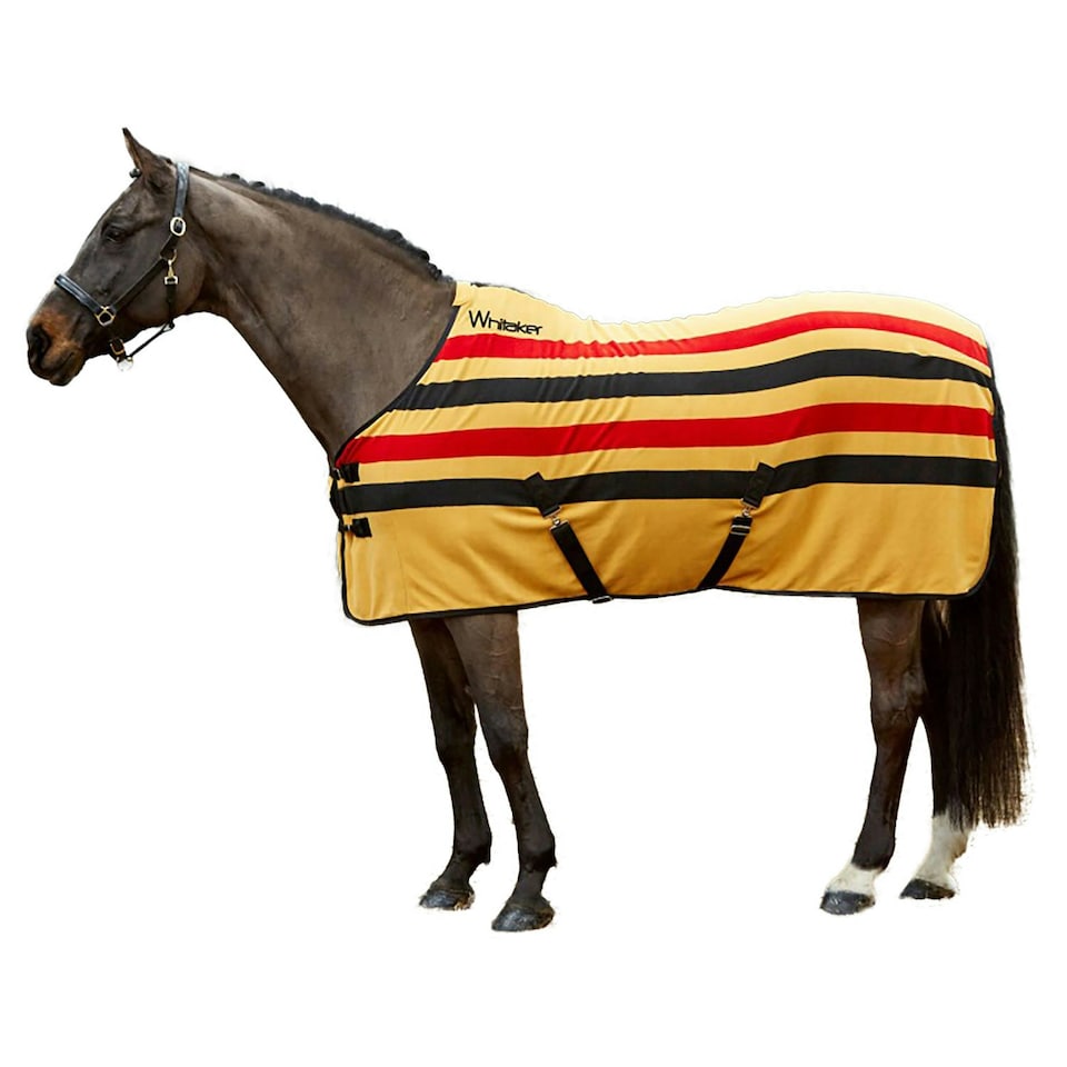 Whitaker Aintree Standard-Neck Stripe Horse Fleece Rug - Yellow - 6´