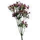 image 1 of 55cm Gypsophila Pink Stem