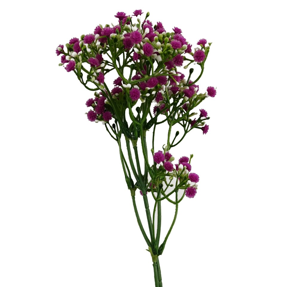 image 1 of 55cm Gypsophila Pink Stem