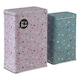 image 1 of Interiors by Premier Cosmic Design Set Of 2 Stellar Storage Canisters, Versatile Tall Food Container, Airtight Storage Canister