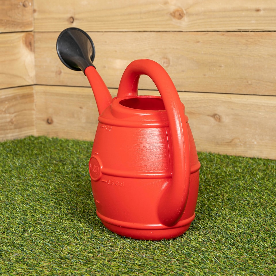image 1 of 5L Garden Patio Ward Watering Can with Rose in Green