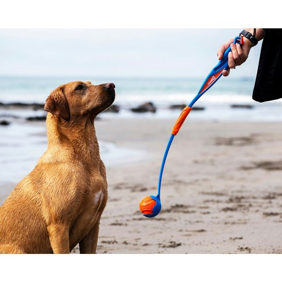 image 1 of Chuckit! Fetch & Fold Dog Ball Launcher
