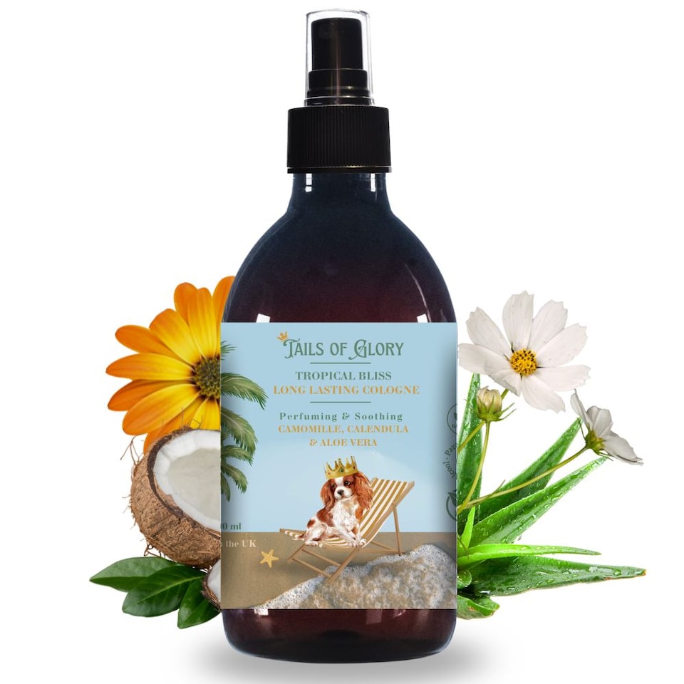 image 1 of Tails of Glory All-Natural Tropical Bliss Dog Cologne