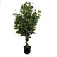 image 2 of Artificial 110cm Evergreen Ficus Tree Multicolour Planter | Green | 3ft
