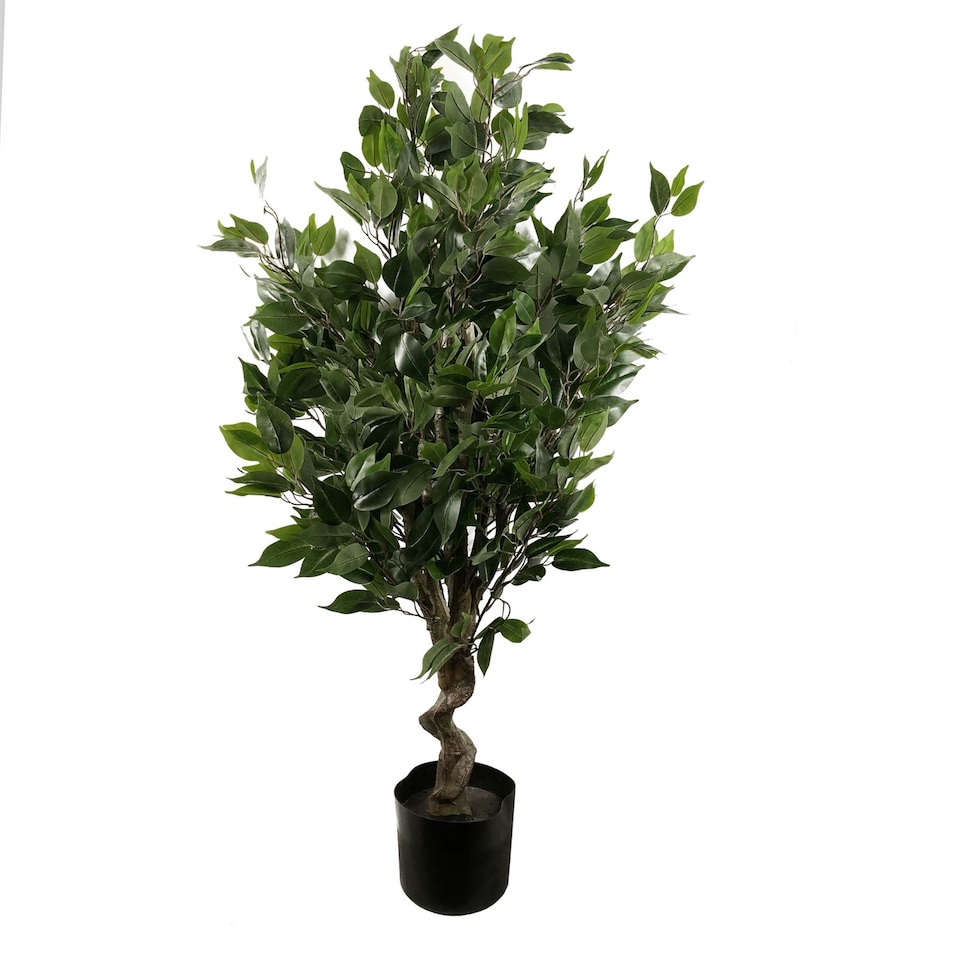 image 1 of Artificial 110cm Evergreen Ficus Tree Multicolour Planter | Green | 3ft