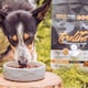 image 4 of Truline by Pero Premium Dog Food - Meat and Fish Variety 12kg | Brown | Chicken | 1