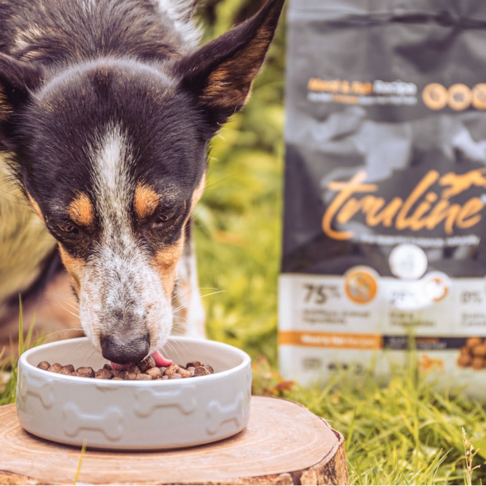 image 1 of Truline by Pero Premium Dog Food - Meat and Fish Variety 12kg | Brown | Chicken | 1