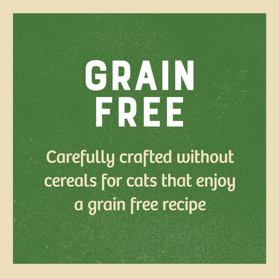 image 1 of James Wellbeloved Grain Free Senior Cat Wet Food Chicken Jelly 12x85g