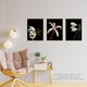 image 3 of Set of 3 Macro Photo Flower Bloom Petal Anther Stem Photography Black Wall Art Print A4