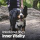 image 10 of 10 x 80g Tails.com Inner Vitality Superfood Bites Dog Treats Pouches - Lamb