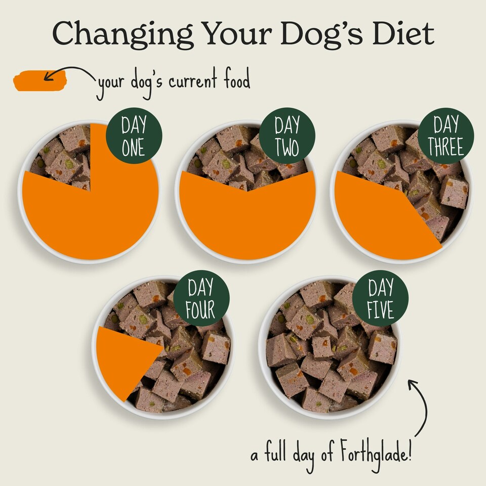 image 1 of Senior Lamb & Butternut Squash Wet Dog Food (18x395g)