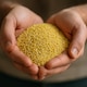 image 4 of Organic Millet Grain 500g (Sussex Wholefoods) | Multi