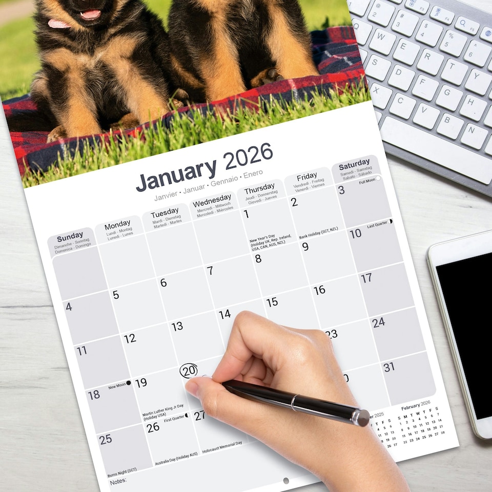 image 1 of German Shepherd 2026 Calendar | Square Wall Calendar | Dog Breed Gift | Plastic Free Packaging | by Avonside Publishing