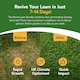 image 3 of Pronto Seed Revive Lawn Bundle - Grass Seed & Lawn Feed for Thicker Lawns | Multi | 1