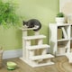image 7 of PawHut Dog Steps for Bed 4 Step Pet Stairs for Dog Cat Climb Ladder Cream