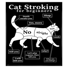 Black Wooden Framed Cat Stroking For Beginners Maxi Poster