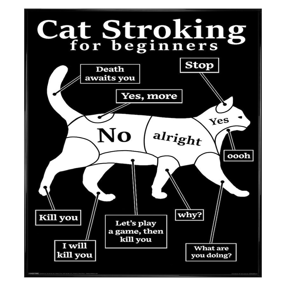 image 1 of Black Wooden Framed Cat Stroking For Beginners Maxi Poster