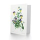 image 2 of Pierre-Joseph Redouté Art Card Vintage Wild Pansy Flower Illustration