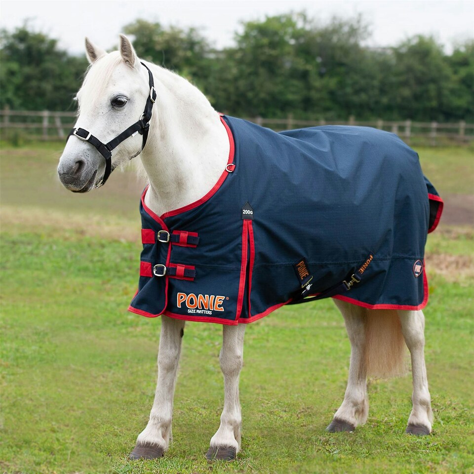 Gallop Equestrian Ponie 200 Standard Turnout Rug Red | Size: 4ft 9
Colour: Navy/Red