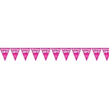 Birthday Girl Pink Holographic Foil Pennant Bunting 3.9m