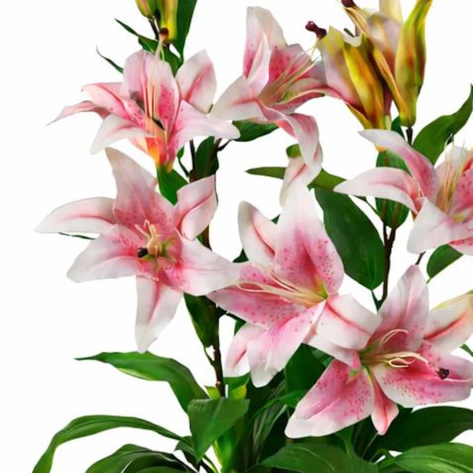 image 1 of 90cm (3ft) Artificial Lily Stargazer Style Lillies Plant Large Flowers Pink