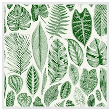 Leaves mixed (Picture Frame) White | S