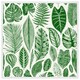 image 1 of Leaves mixed (Picture Frame) White | S