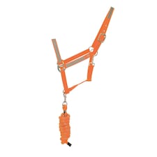 HyVIZ Reflector Head Collar and Lead Rope - Orange - Full