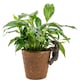 image 2 of Polar Bear Plant Pot Hanger - L10.5 x W5 x H6 cm