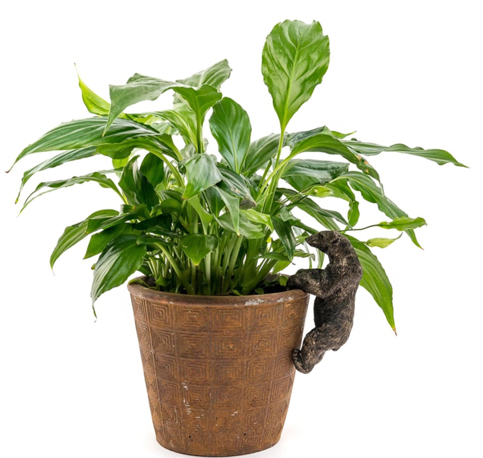 image 1 of Polar Bear Plant Pot Hanger - L10.5 x W5 x H6 cm