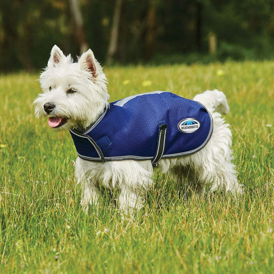 image 1 of Weatherbeeta Comfitec Premier Free Midweight Dog Coat - Dark Blue/Grey/White - 60cm
