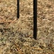 image 6 of Bird Feeding Station Stabiliser Stand Base