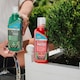 image 3 of Westland Buxus Feed & Protect 2 in 1 - 2 x 500ml | Clear | 1 x Duo Pack | 2