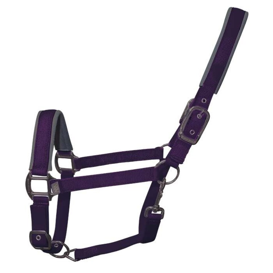 image 1 of Woof Wear Contour Head Collar Purple | Size: Cob
Colour: Damson