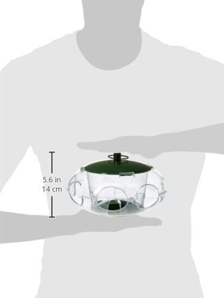 image 1 of Peckish Small Bird Feeder | Clear | Green | 14.8cm x 24.8cm x 24.8cm | 1