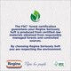 image 5 of Regina Thirst Pockets Mini 3-Ply Kitchen Rolls | Highly Absorbent 8 Roll Pack for Spill Control | Durable, Textured Paper Towels for Efficient Kitchen Cleaning