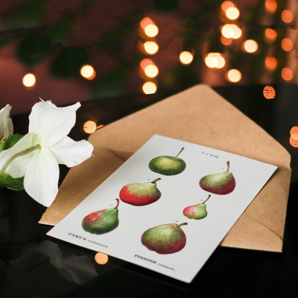 image 1 of Pierre-Joseph Redouté Art Card Pear Fruit Varieties Vintage