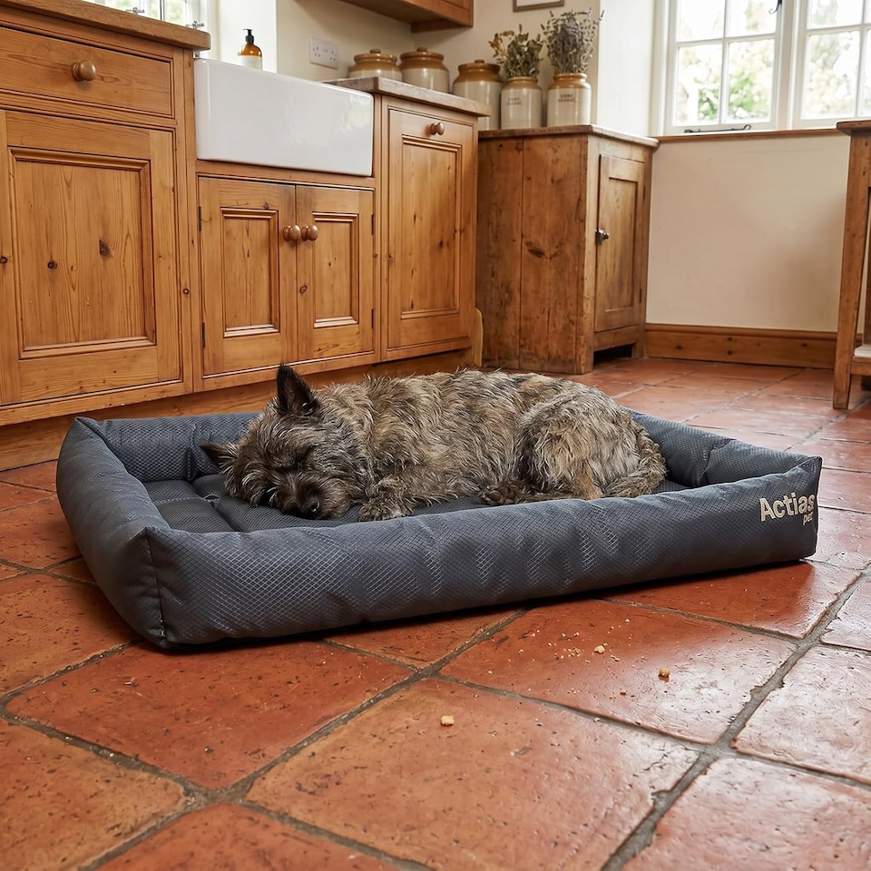 image 1 of Actiaspet Waterproof Dog Crate Bed Non-Slip Base Multiple Sizes (Grey, Large)