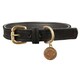image 1 of Benji & Flo Noble Suede Dog Collar - Black/Gold - S
