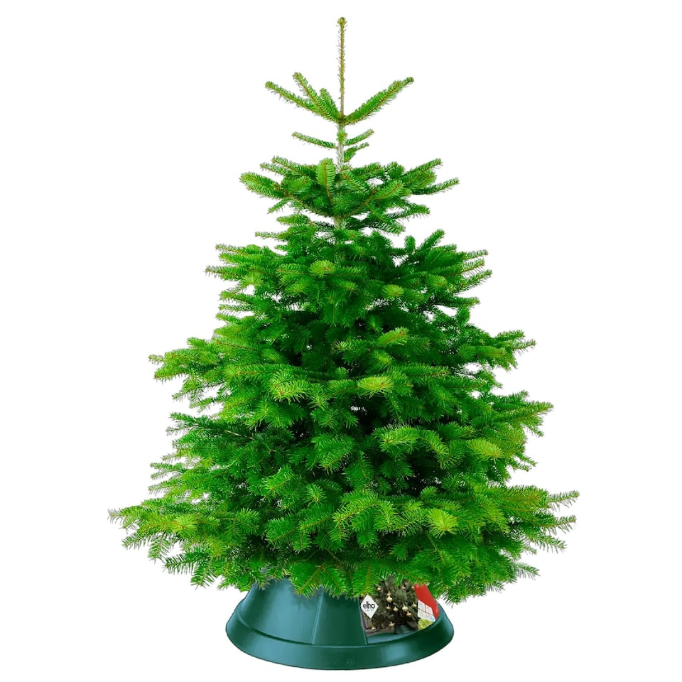 image 1 of Elho Nordman Green Christmas Tree Stand for Real Trees up to 13ft Tall