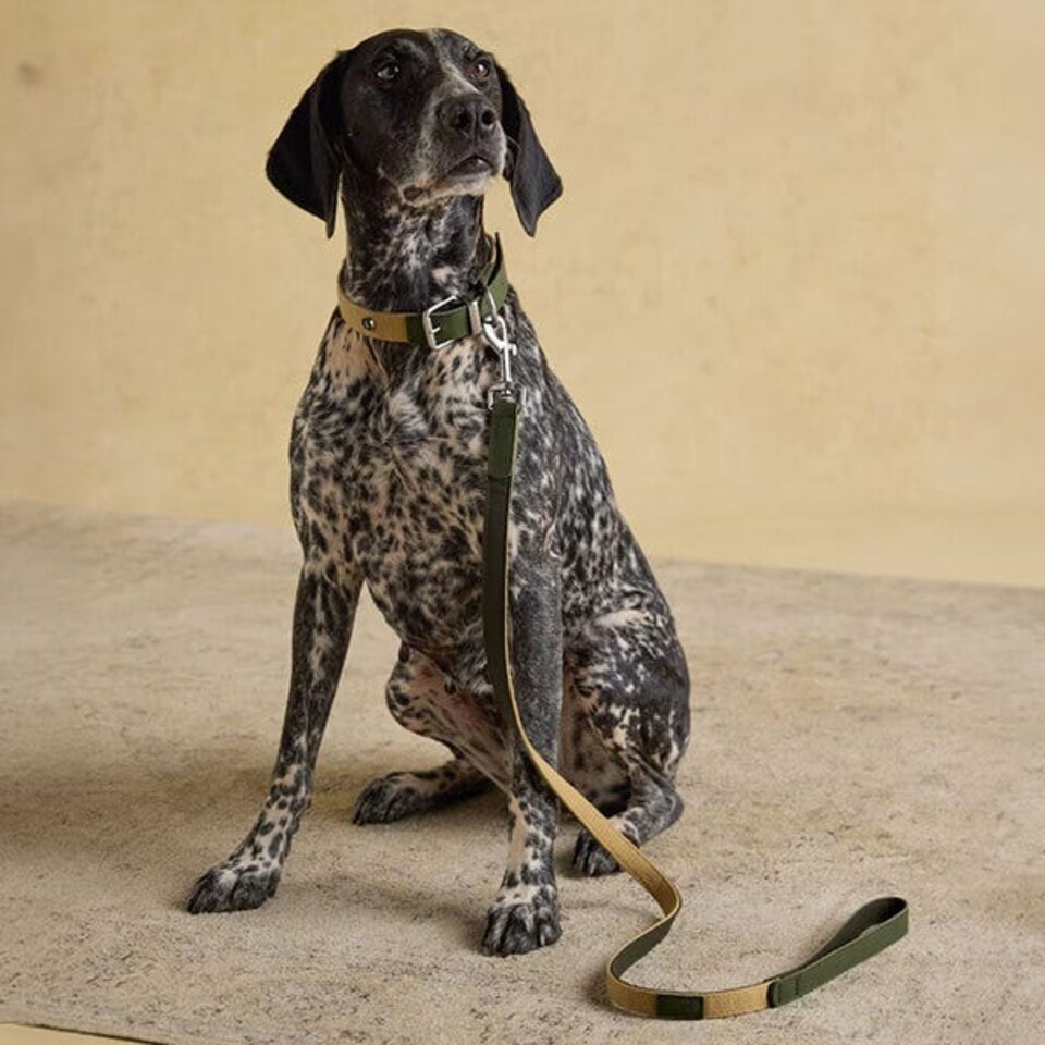 image 1 of Joules Khaki Dog Lead