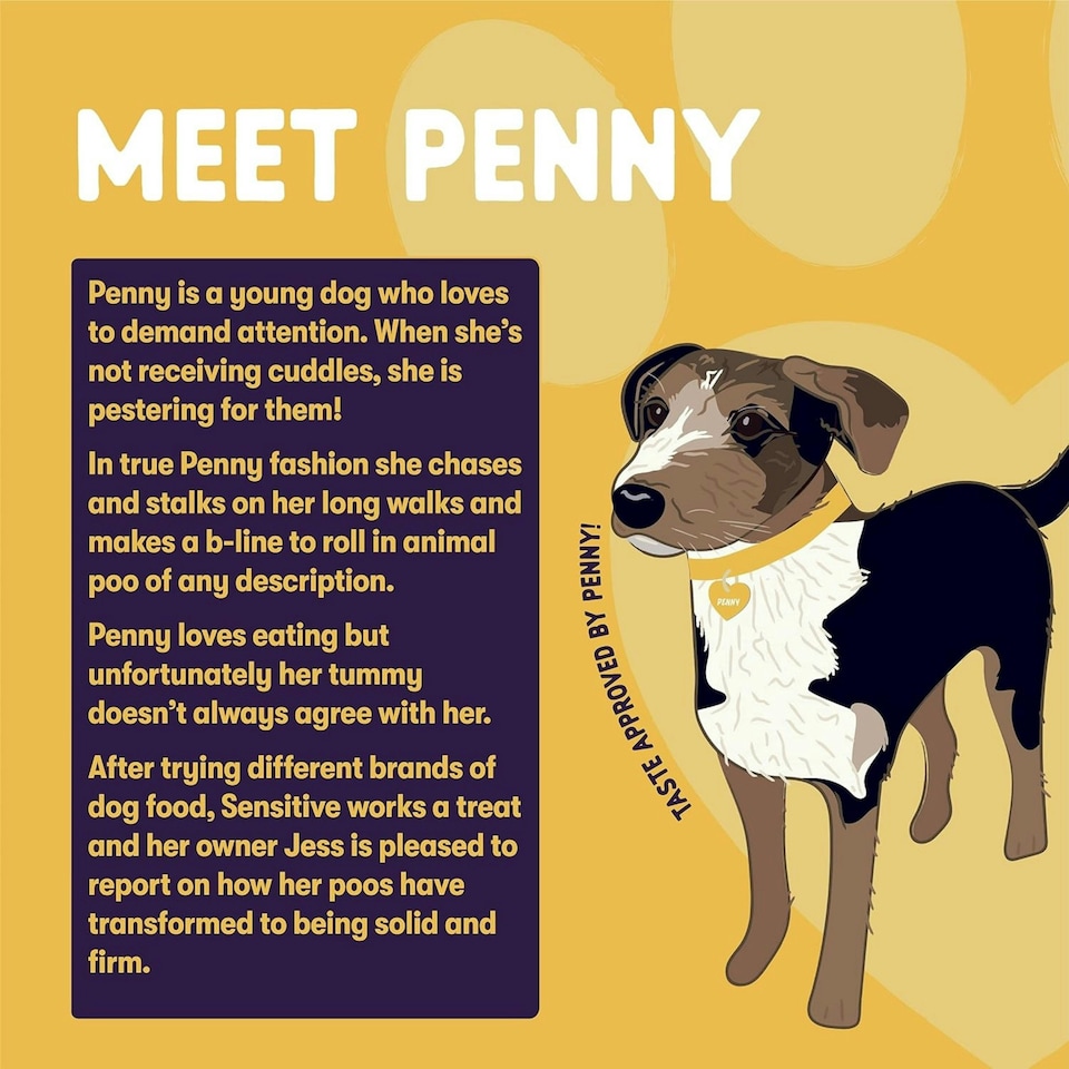 image 1 of Burgess Sensitive Adult Dog Turkey - 12.5KG